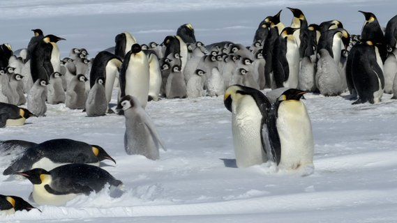 Image for twitter card